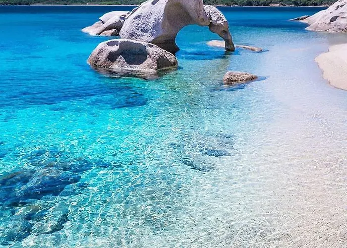 Center Via Roma 22 * Olbia