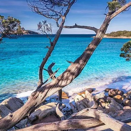 Center Via Roma 22 Apartment