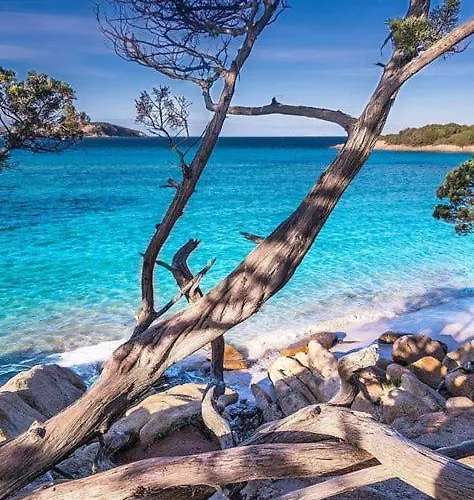 Center Via Roma 22 Apartamento